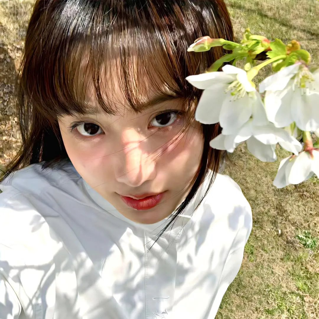 富贵狂花